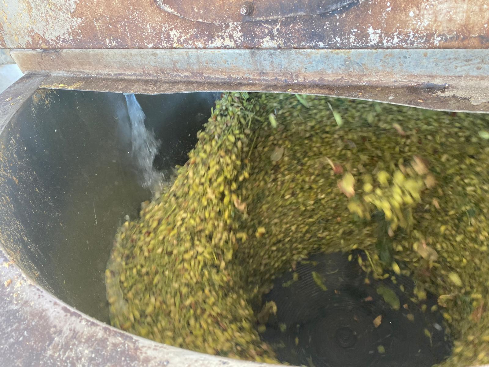 Neden Soğuk Sıkım Zeytinyağı Tercih Edilmelidir?